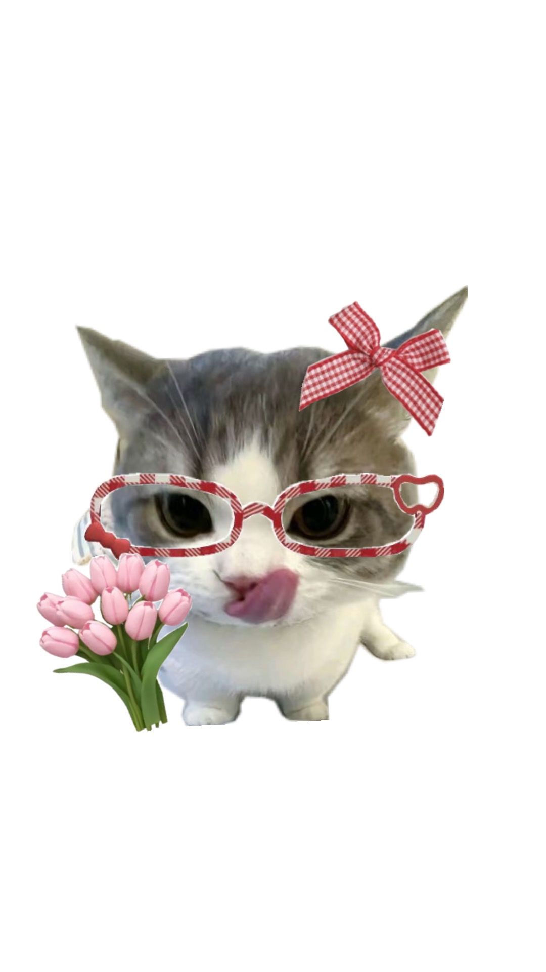 hai