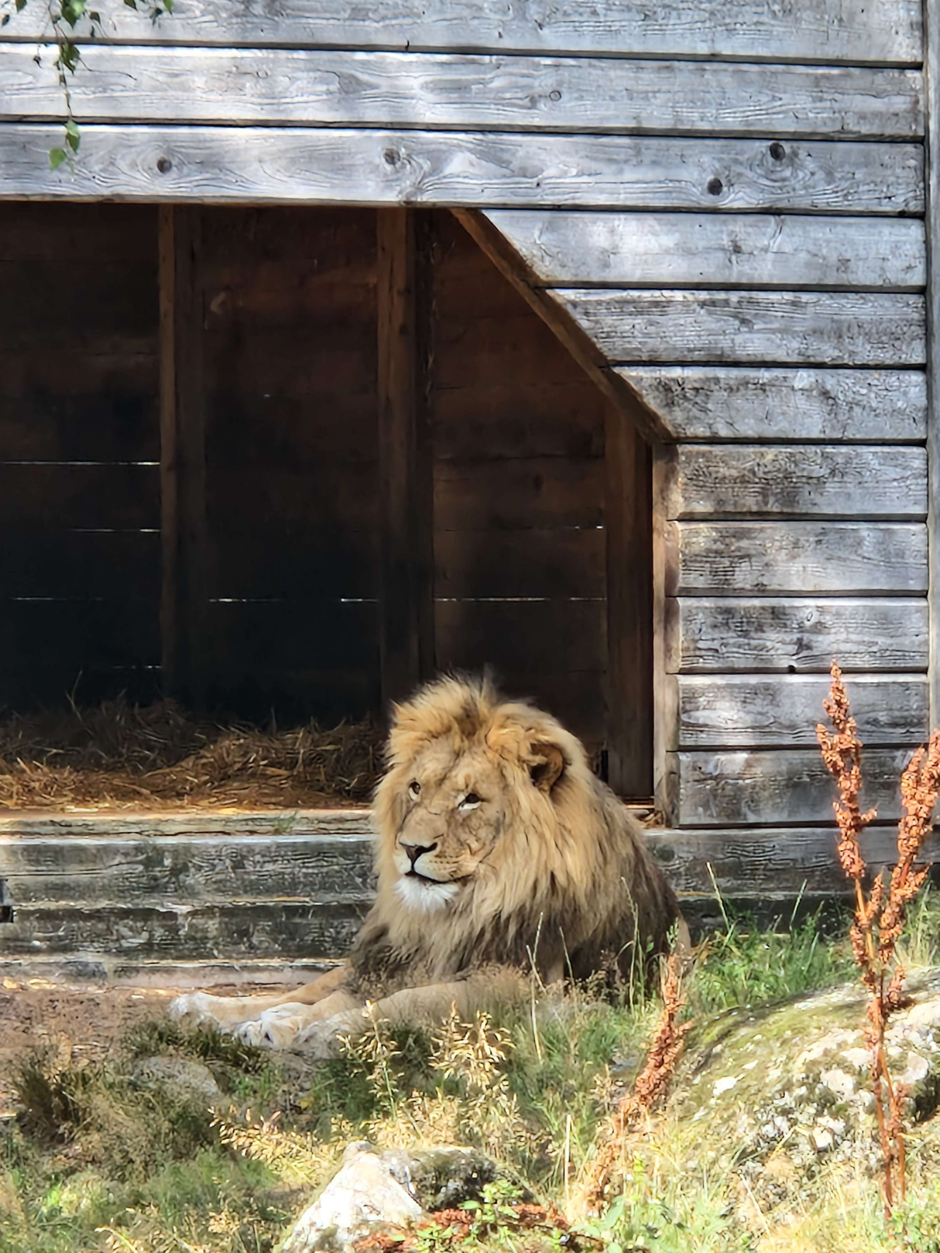 Zoo