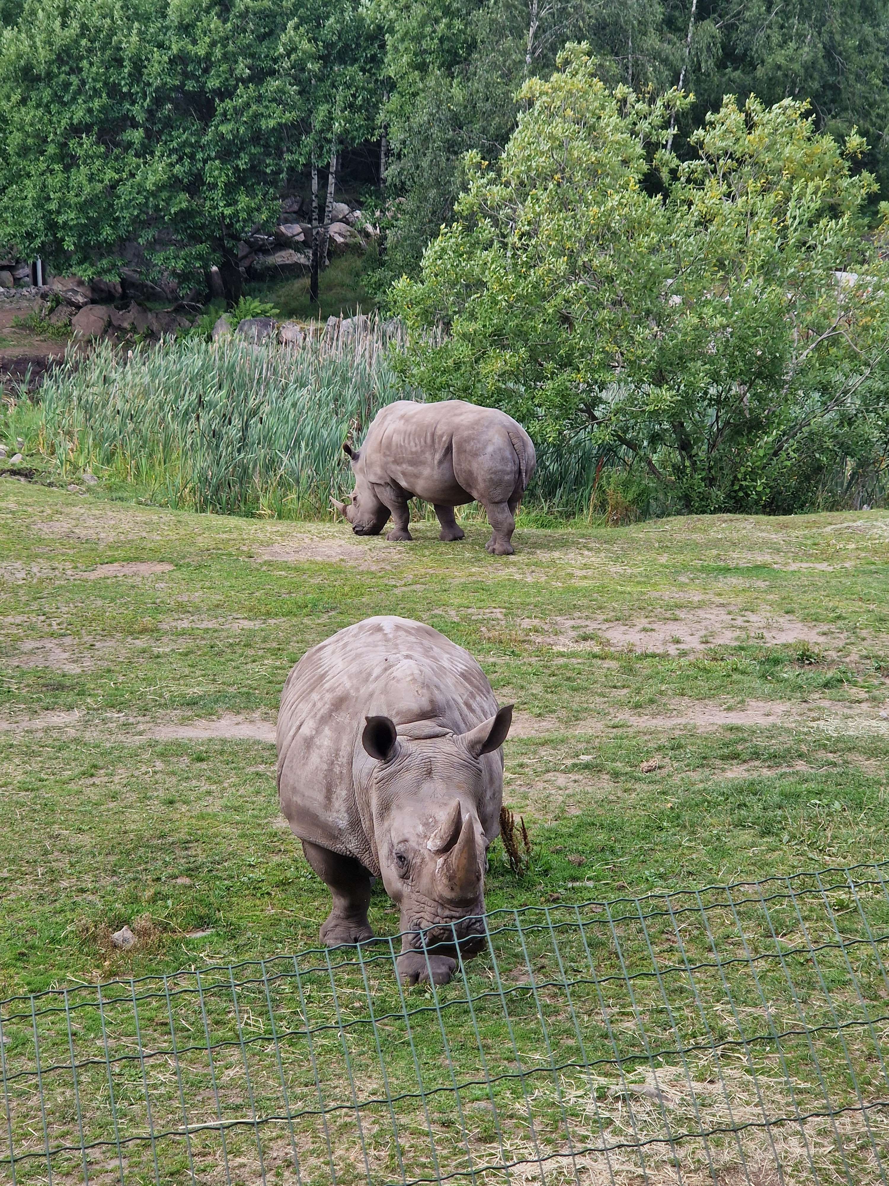 Zoo