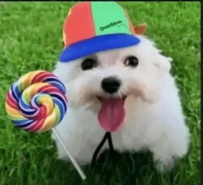 hiii good afternoon