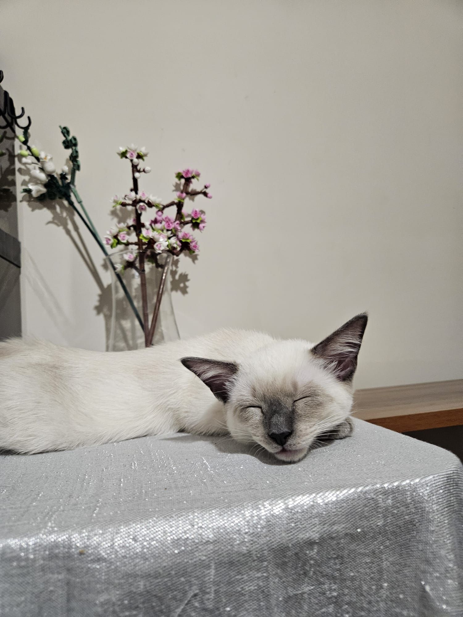 owww so cutee