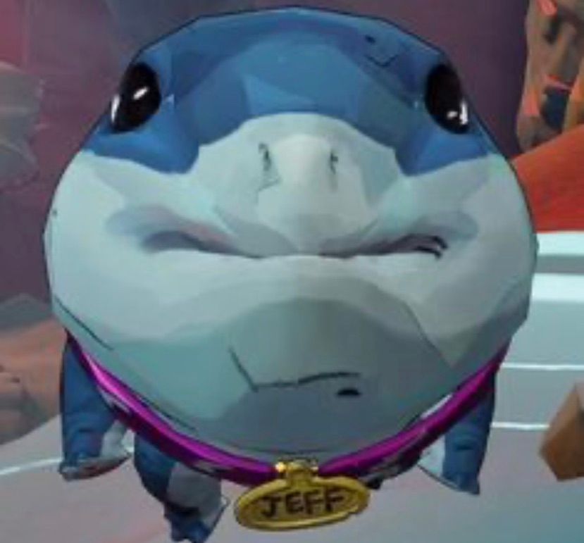 I love jeff.