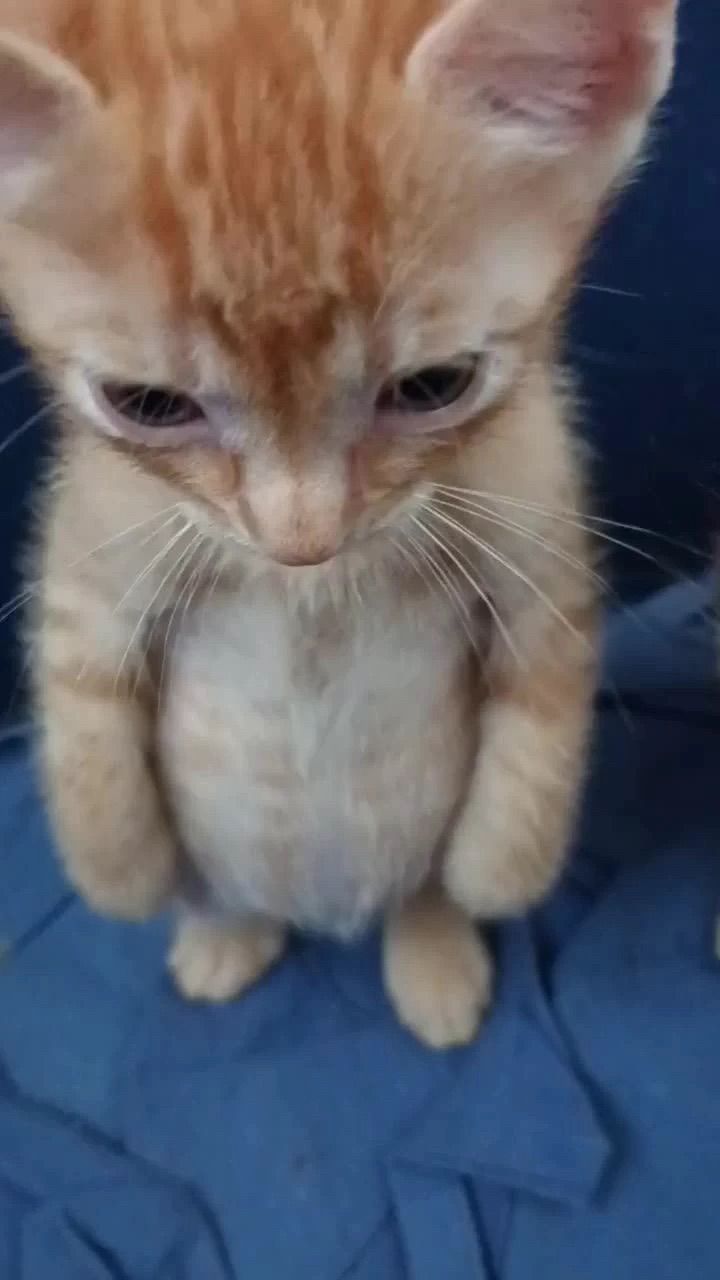 ૮₍ɵ̷﹏ɵ̷̥̥᷅₎ა