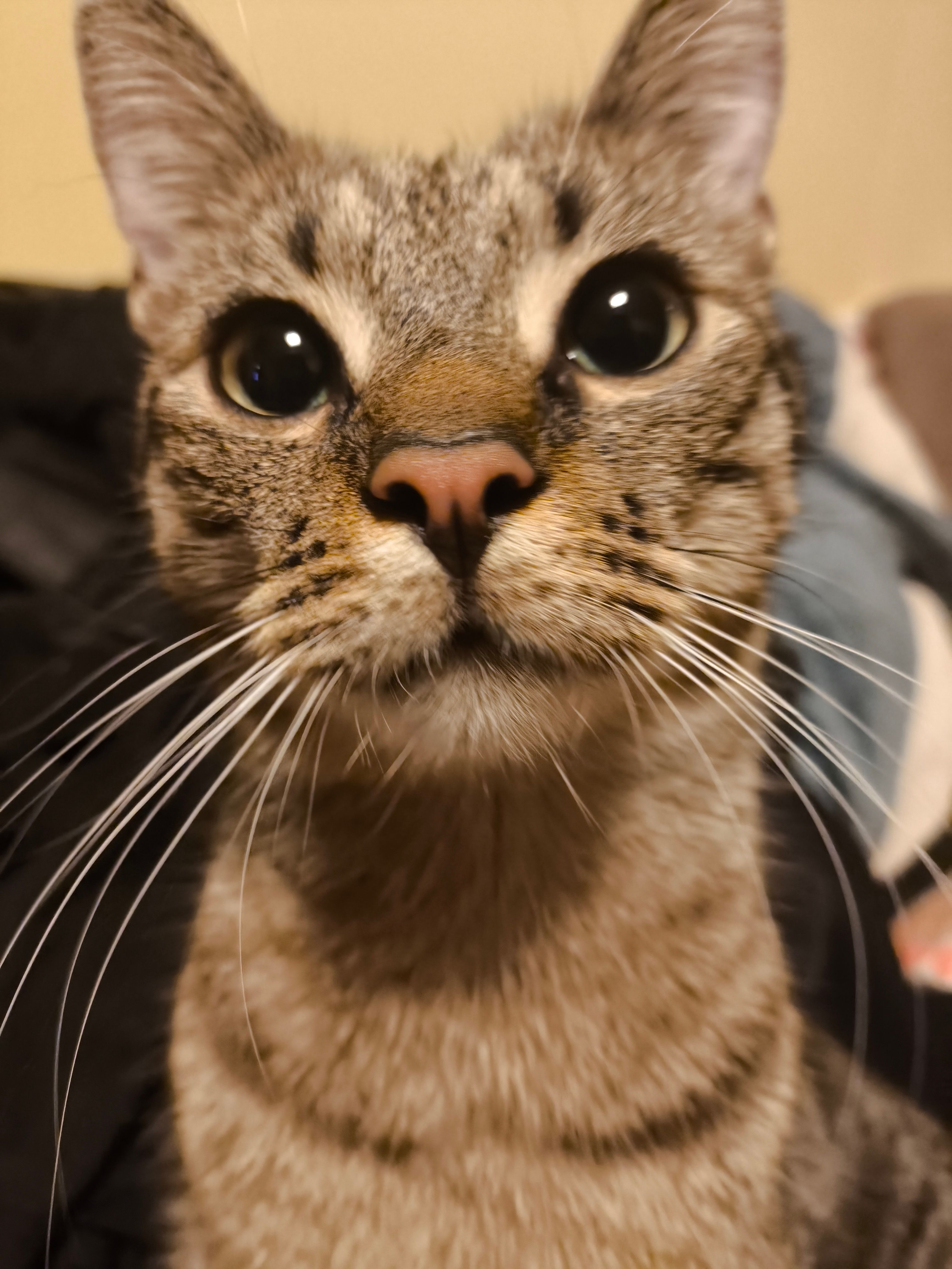 look how cute my baby is