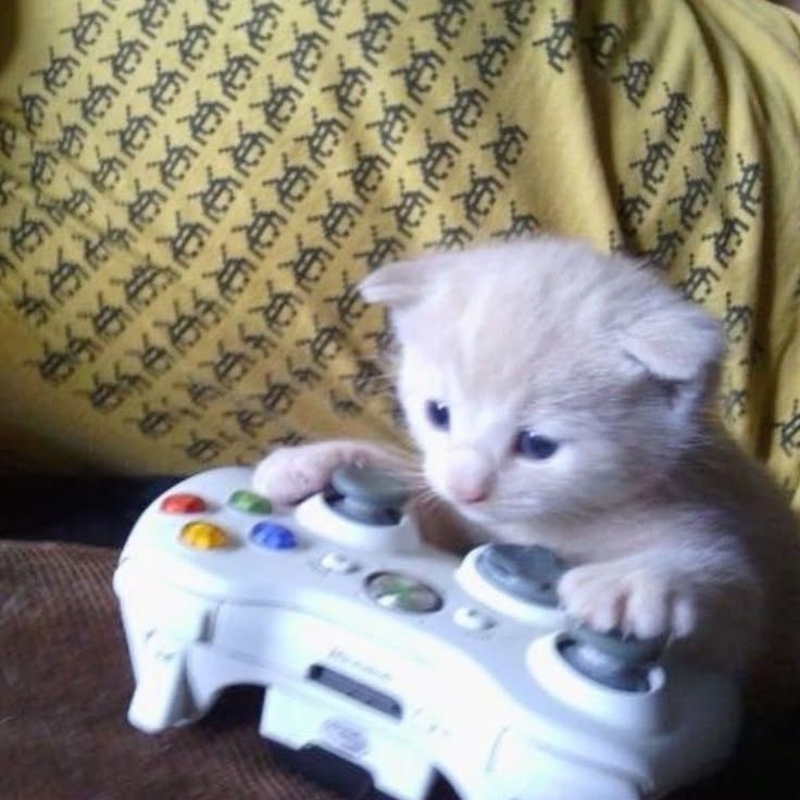 pov: me trying to play re2r without getting scared