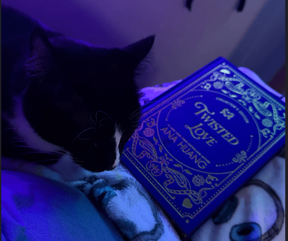 First book of the fall.`
