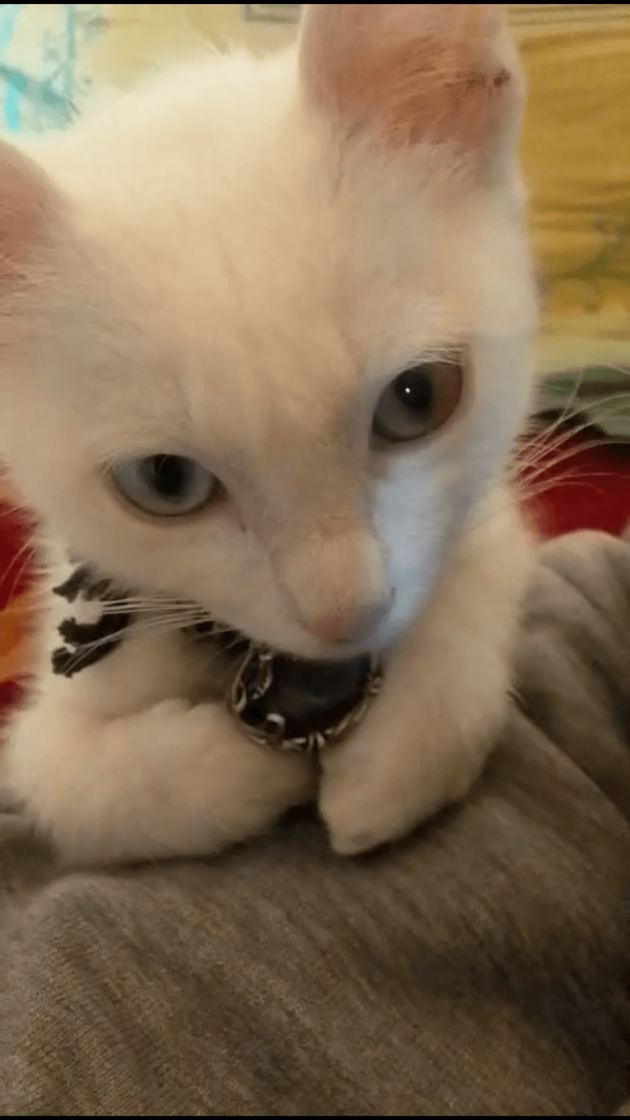 3 weeks old young man