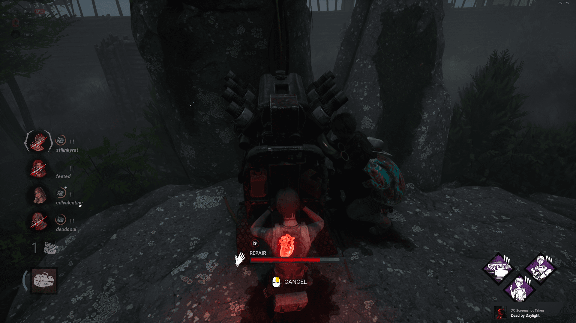 Years of suffering