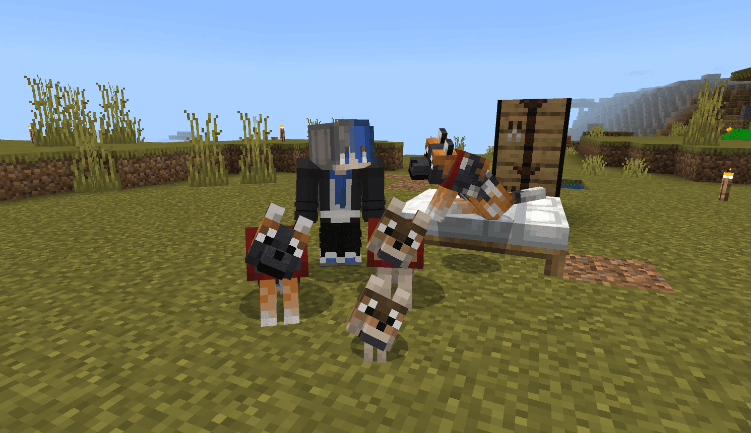 Minecraft