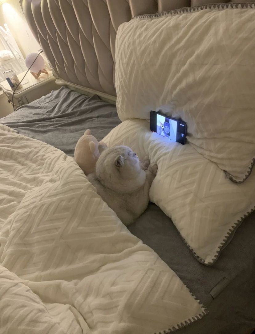 Lets watch something