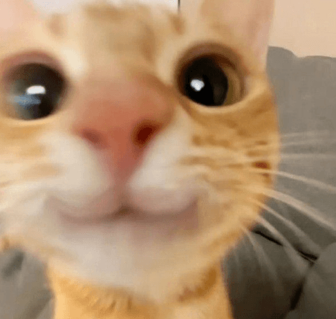 I'm back & avaliable to hang out!