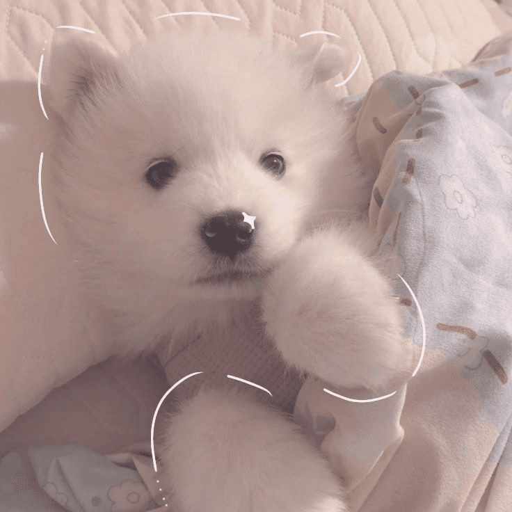snore mimimi~