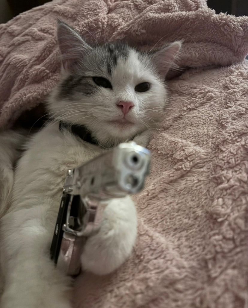 this is a robbery