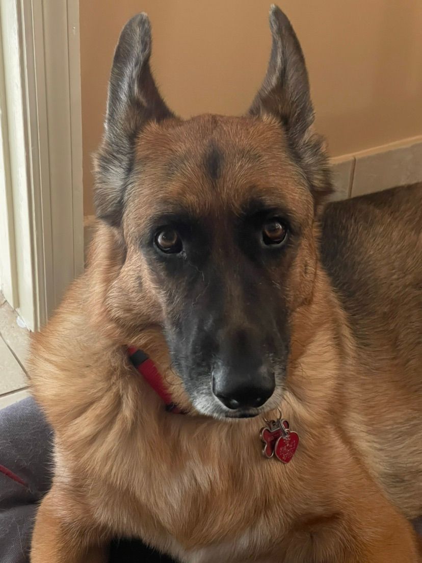 Now this is Epic (Dawg edition)