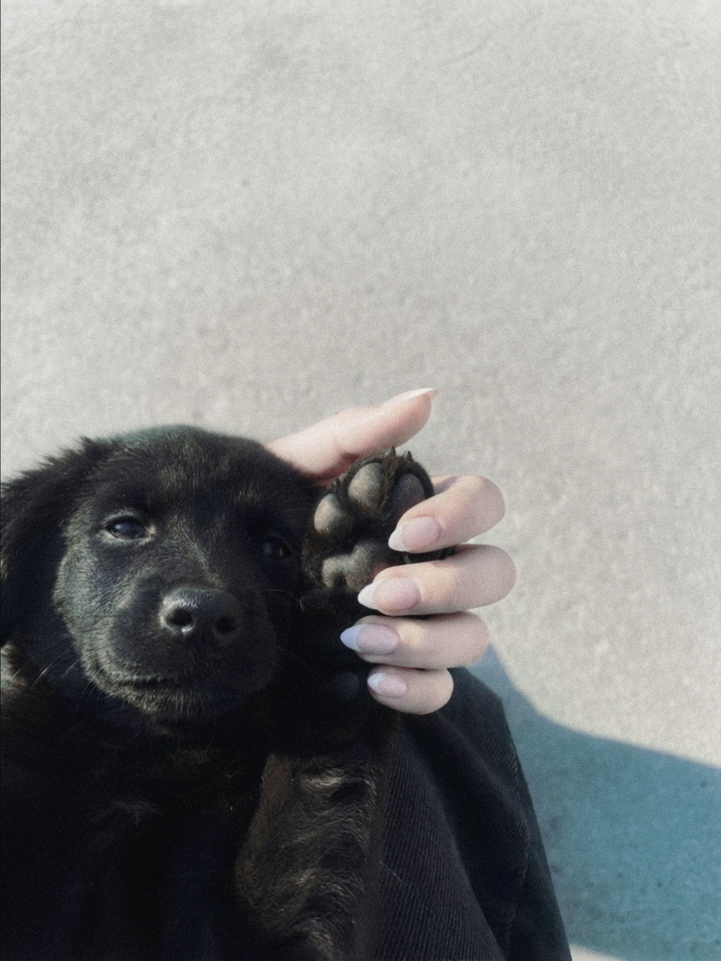 say hi