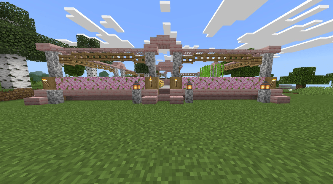 A vegetable garden!