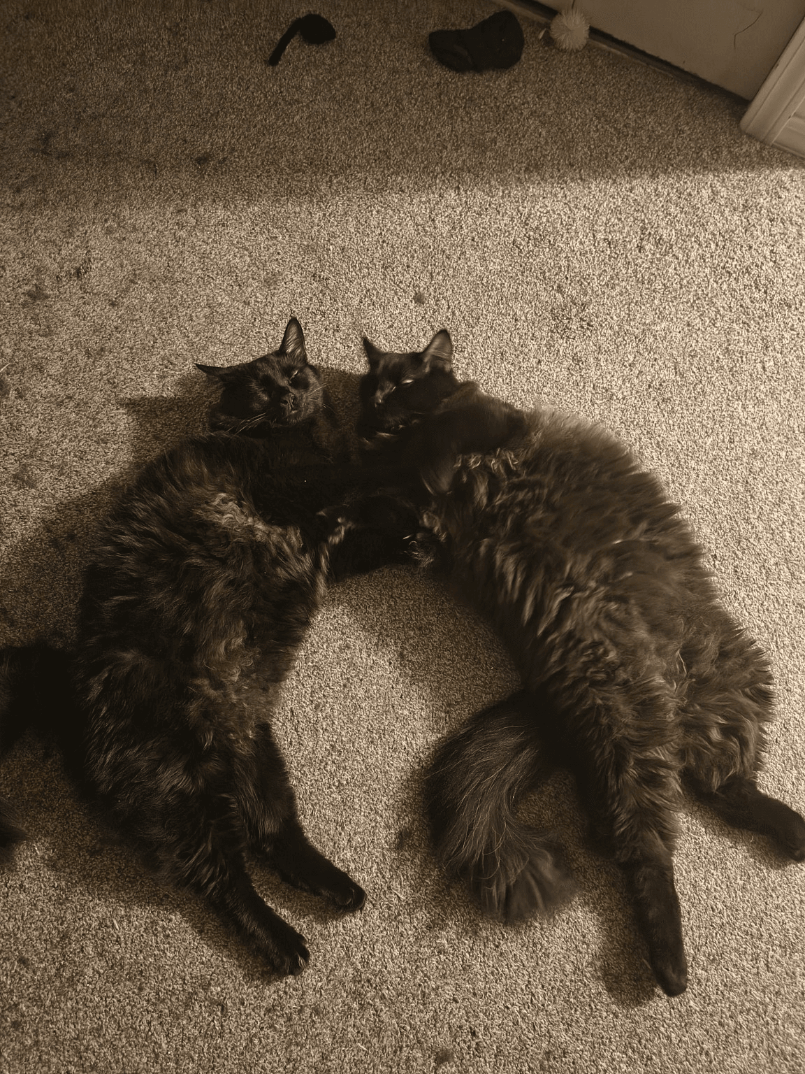 The Real Bosses