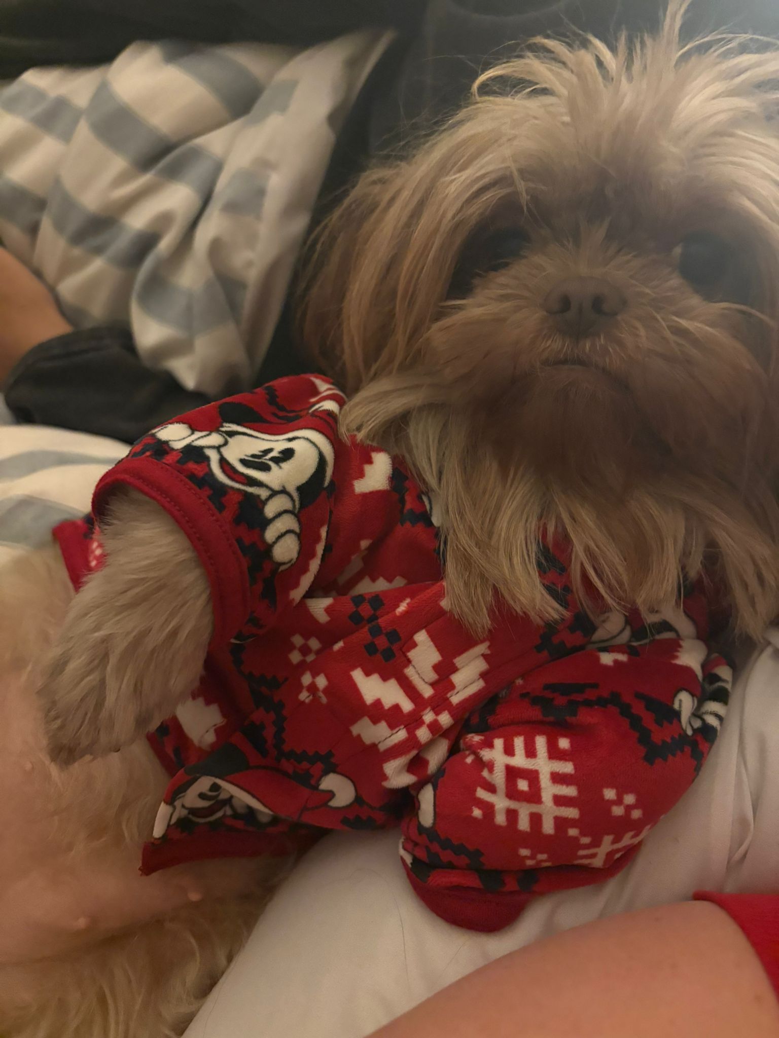 aren't she cute ?