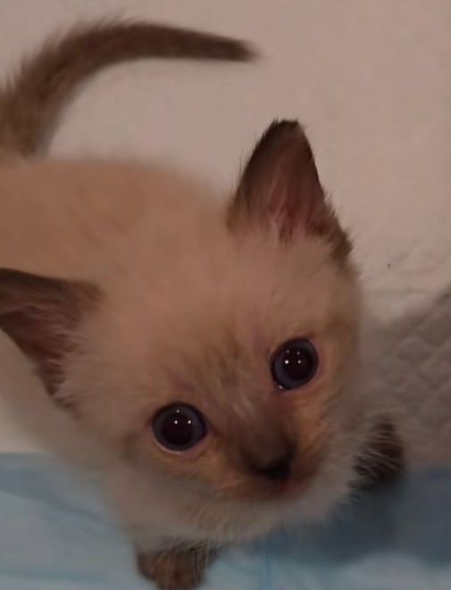 cute post