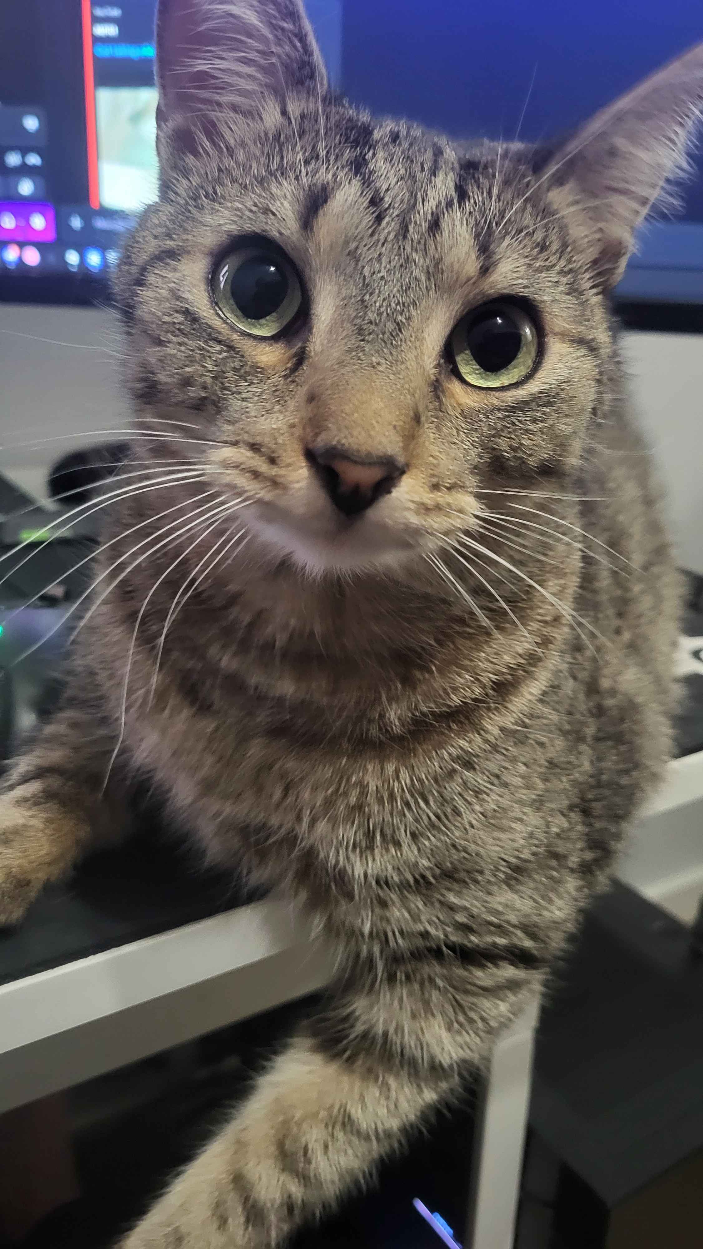 :3