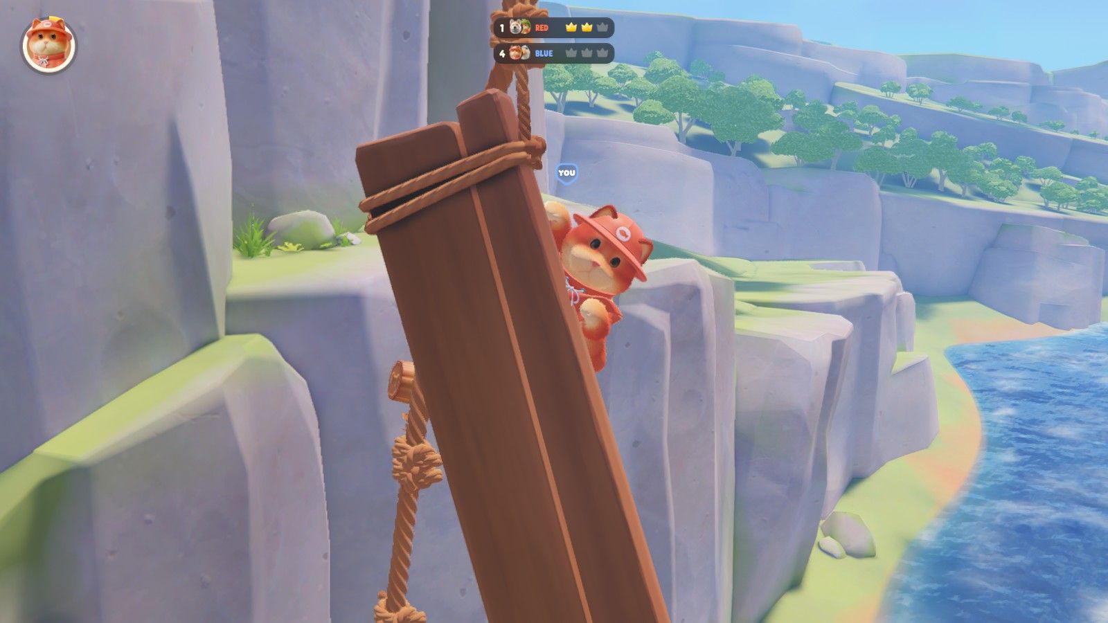 Hang in there, little cat! 🐱