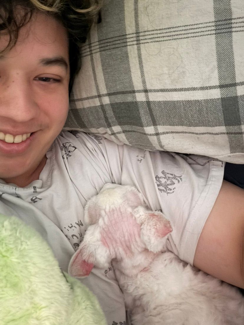 My cattttt