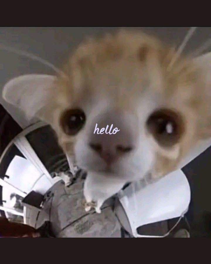 hello? is anyone out there?