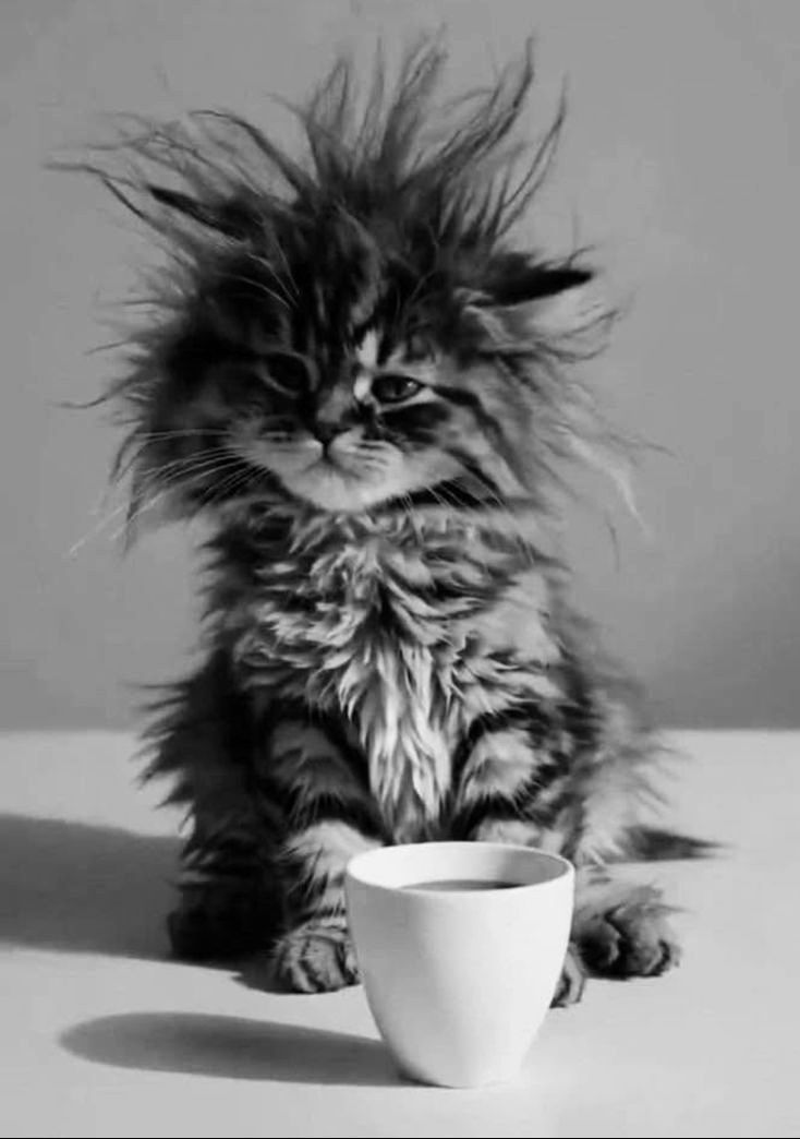 Good morning