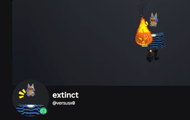 my roblox acc :P