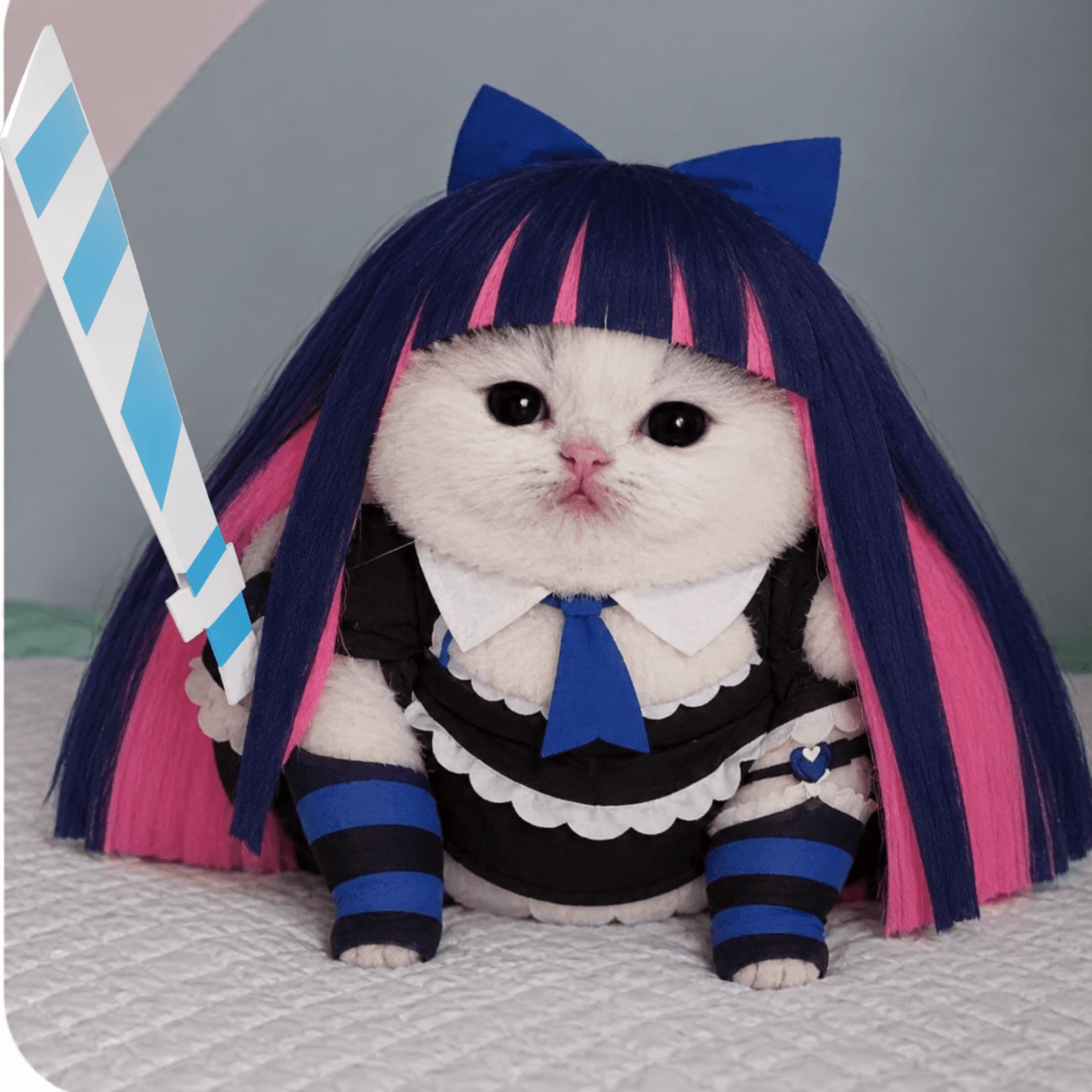 Tubtub is best epaller