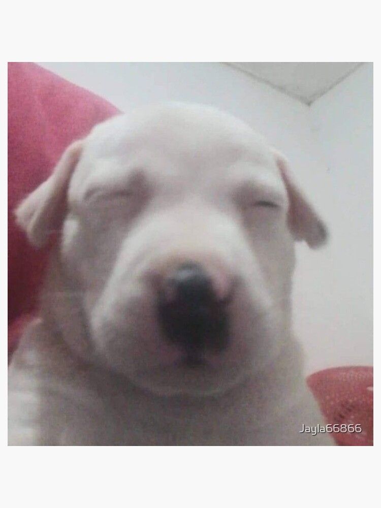 mimimi...zzzz....mimimi...zzzzz