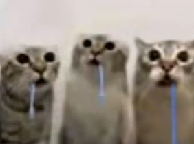 me playing overwatch with my friends