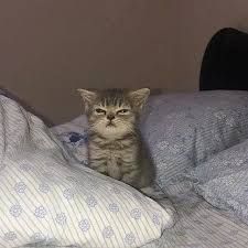 i hope everyone has an amazing sleep