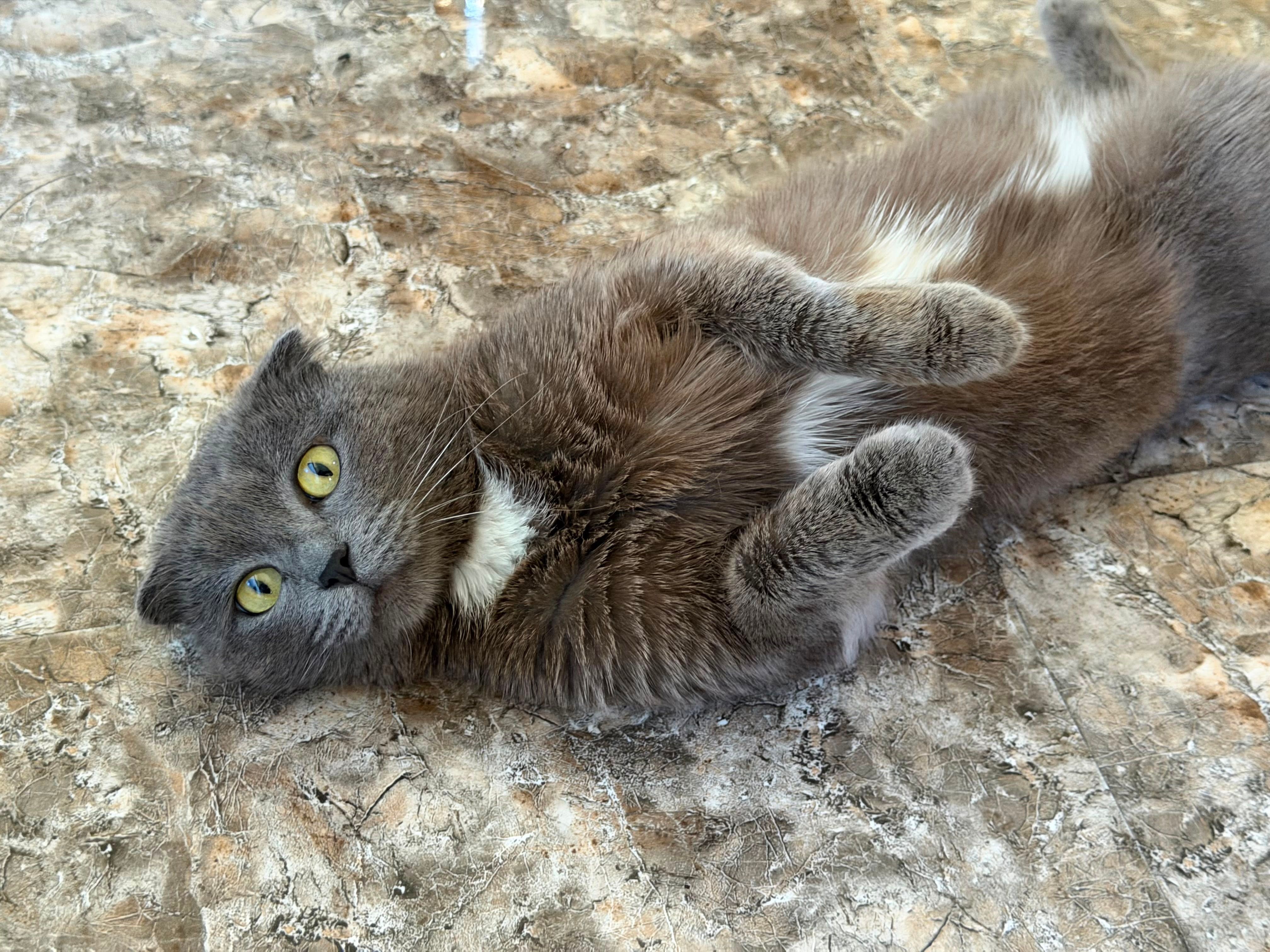 pickless says hiii, like to say hi back💘^^