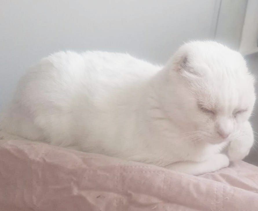 ♡
