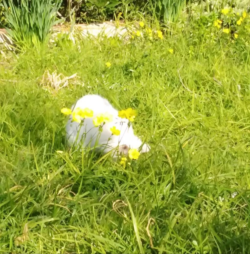 my daughter eating grass?!