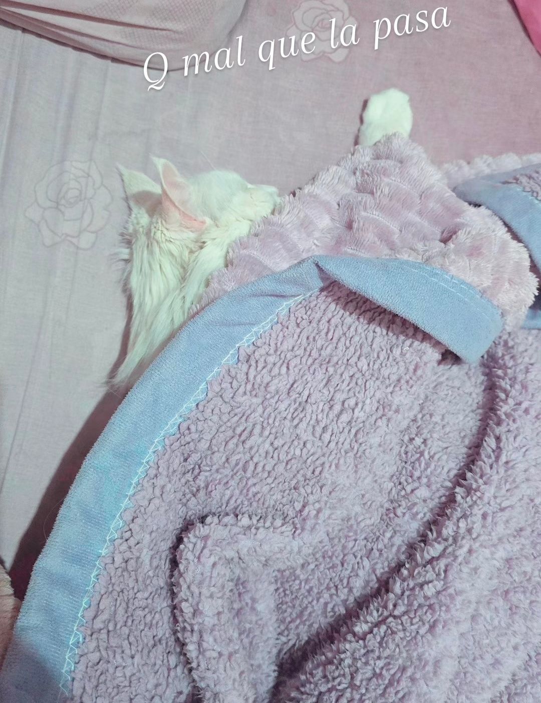 ♡ Oh... you found me.
