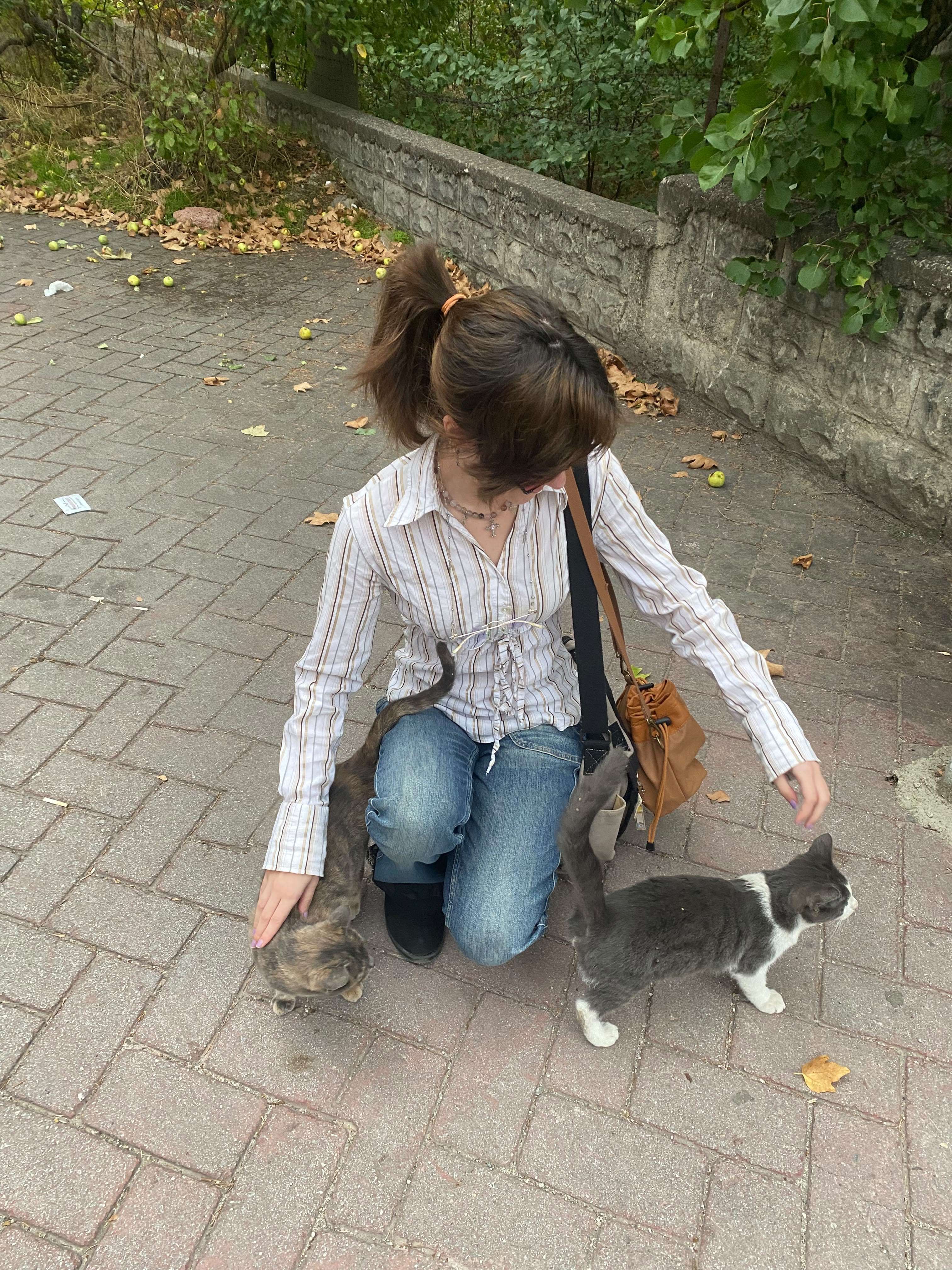 cats love me