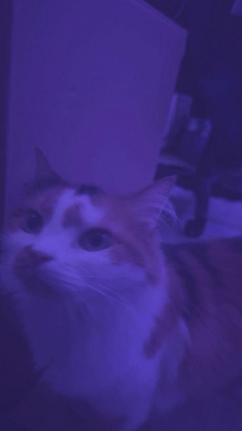 :3