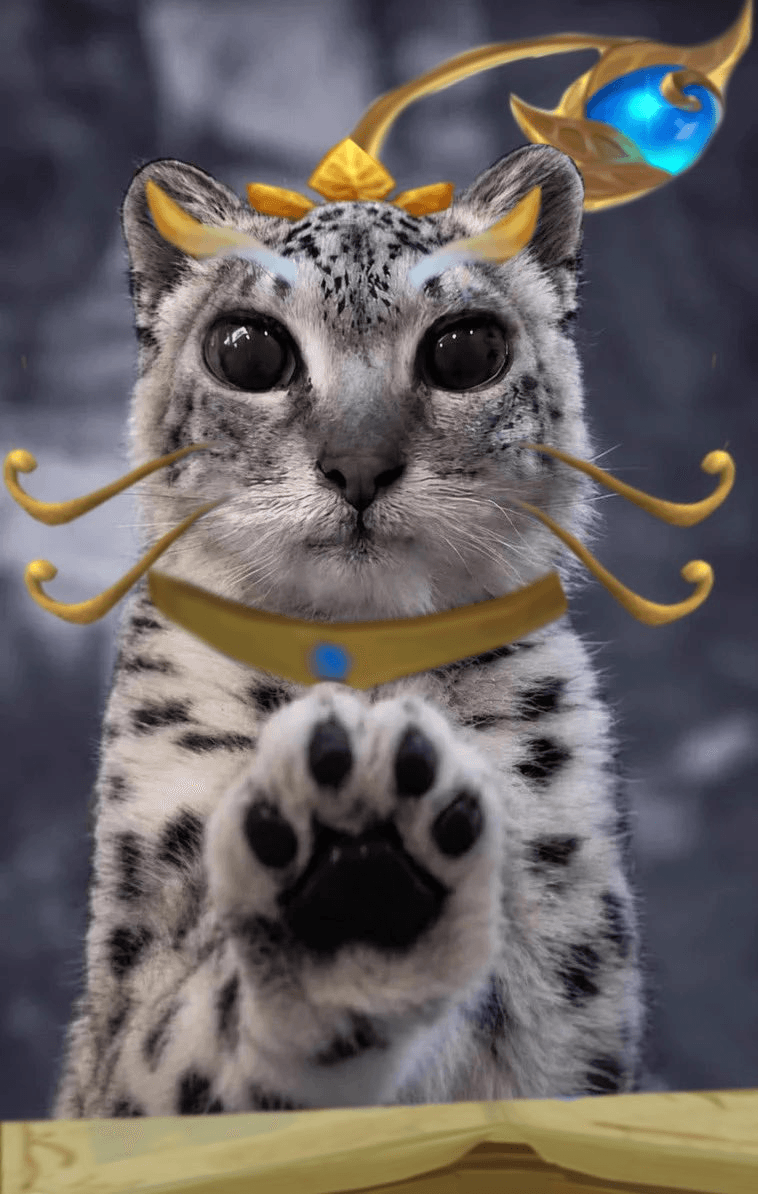 *paws at you* can we play mayhem