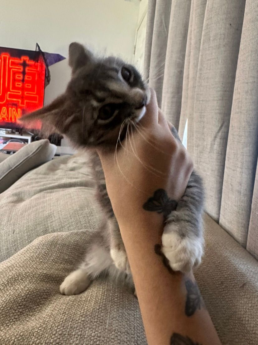😝😝