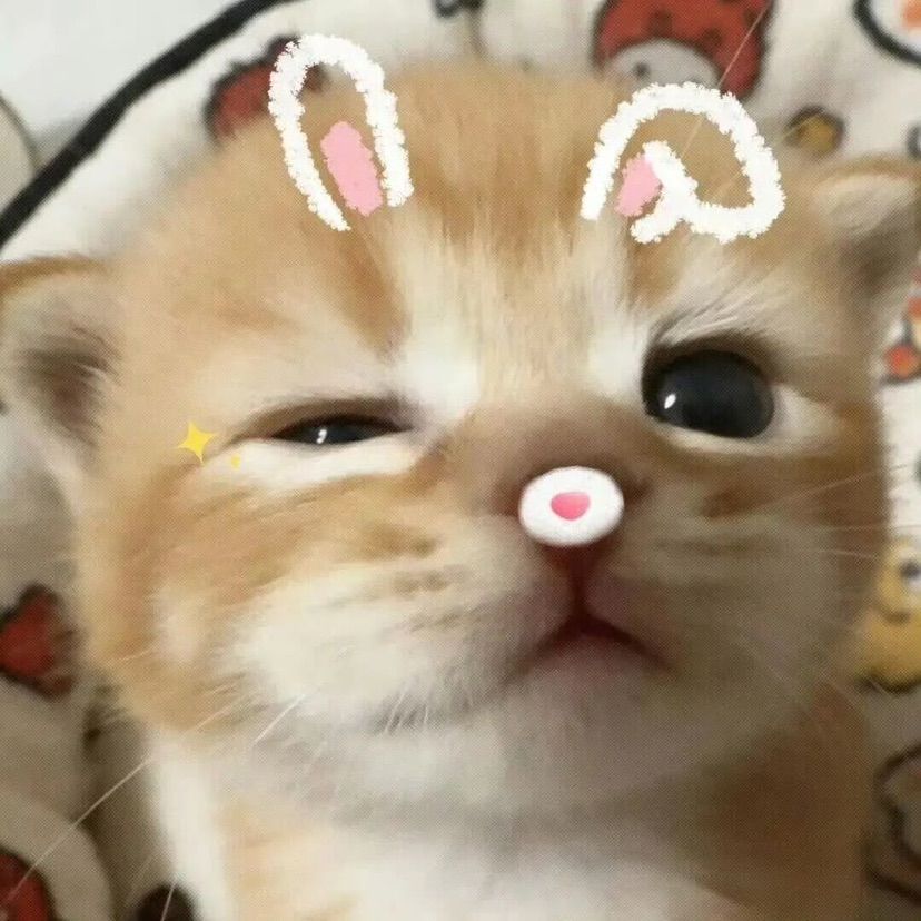 ♡ ‧₊˚ ⋅ ౨ৎ  ‧₊ .ᐟ
