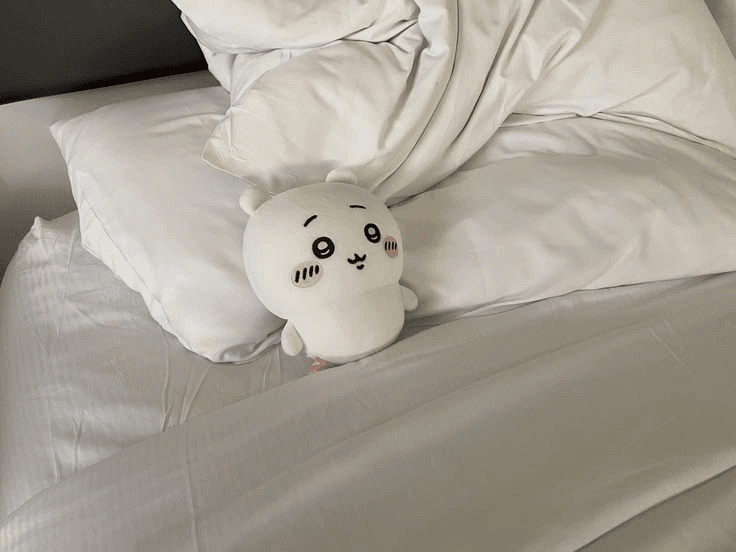 ( ⸝⸝´꒳`⸝⸝) Disponible!🐾 ͝ ݂ ۫‏  ᧙