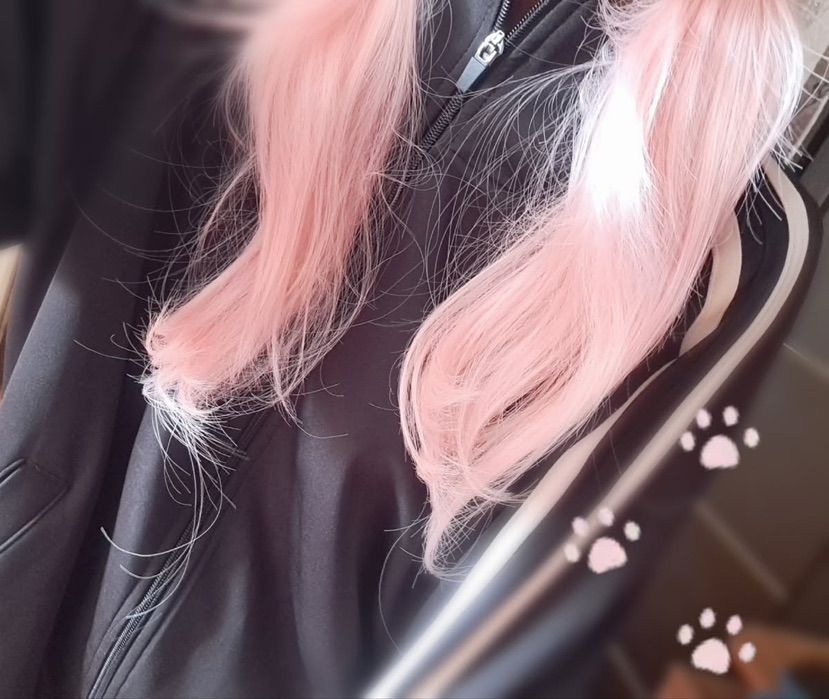 𐙚 ˚ Face reveal for my subscribers! 🐾 (˶>⩊<˶)