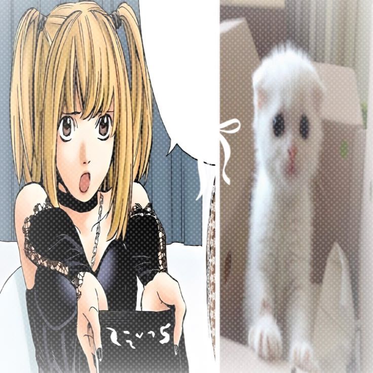 >⩊<.ᐟ