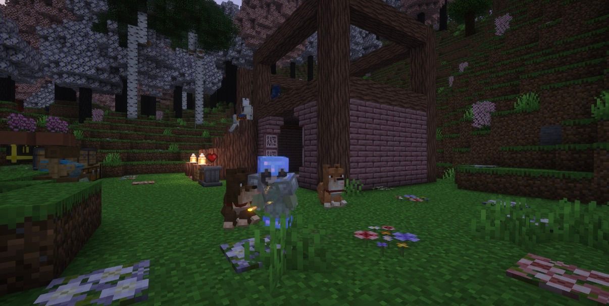 doggiees