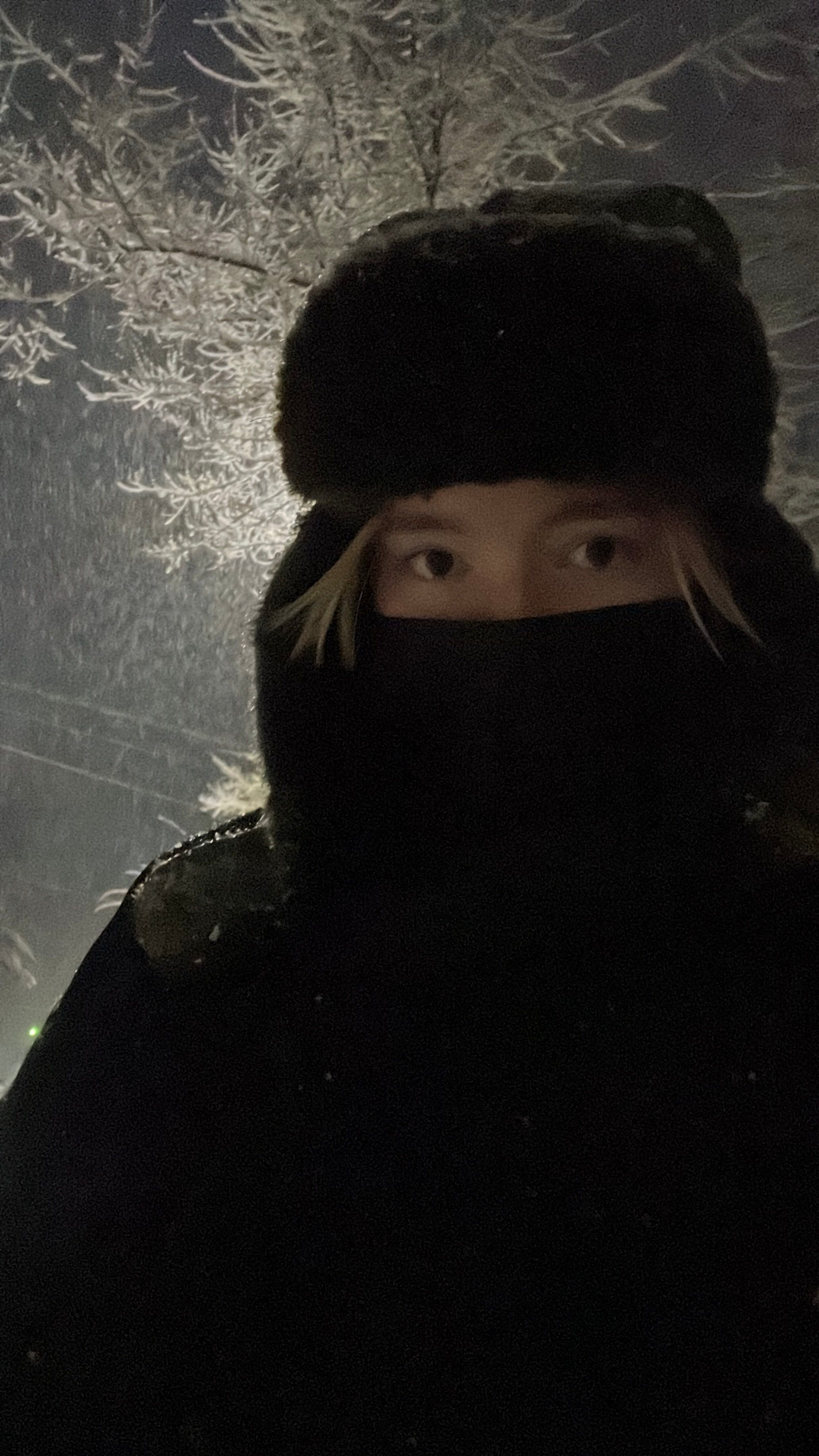 In Russia already snow! (My city)