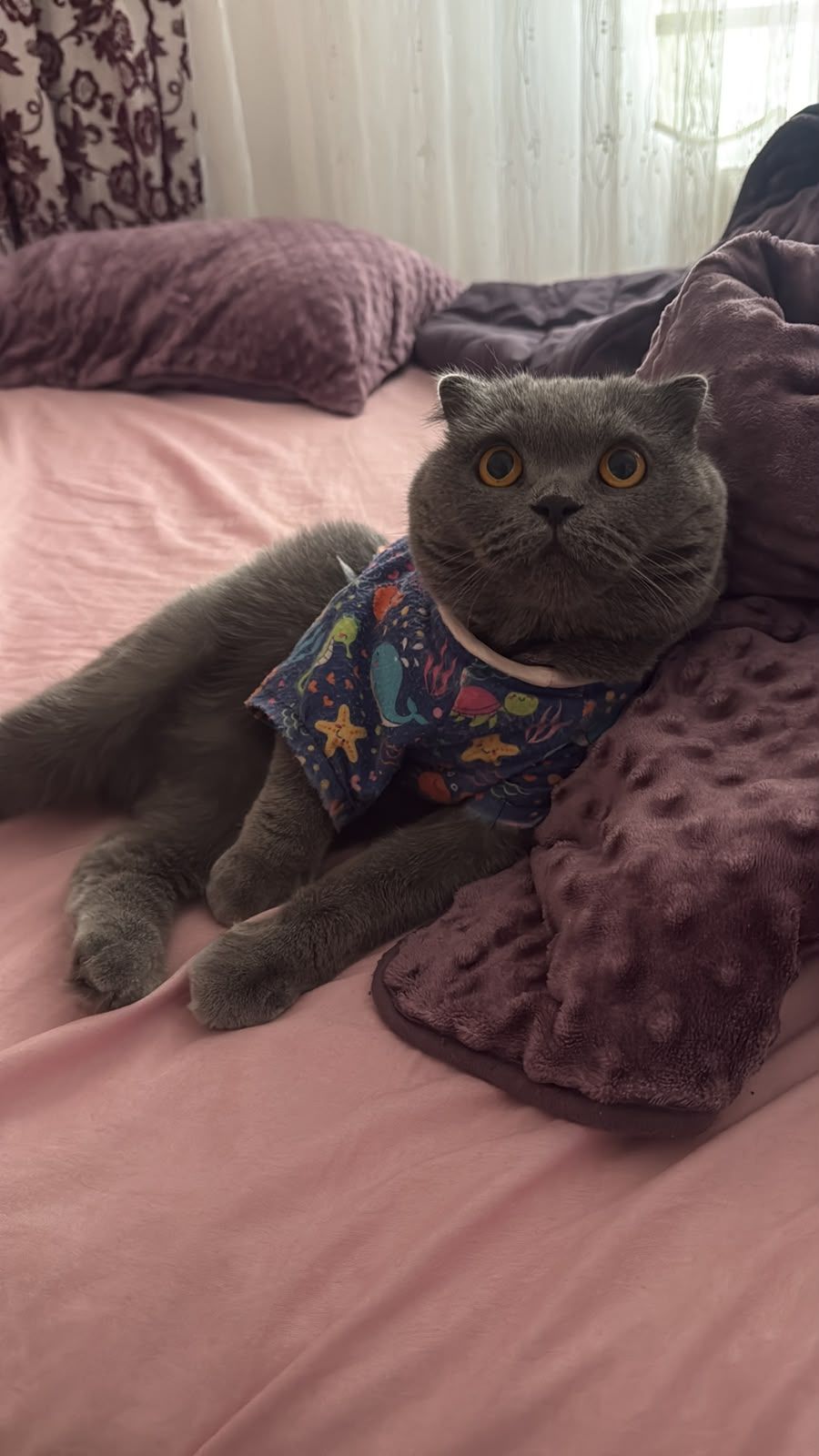 YUUMI