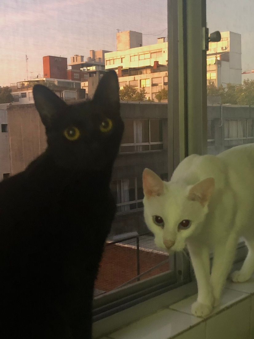 cuties