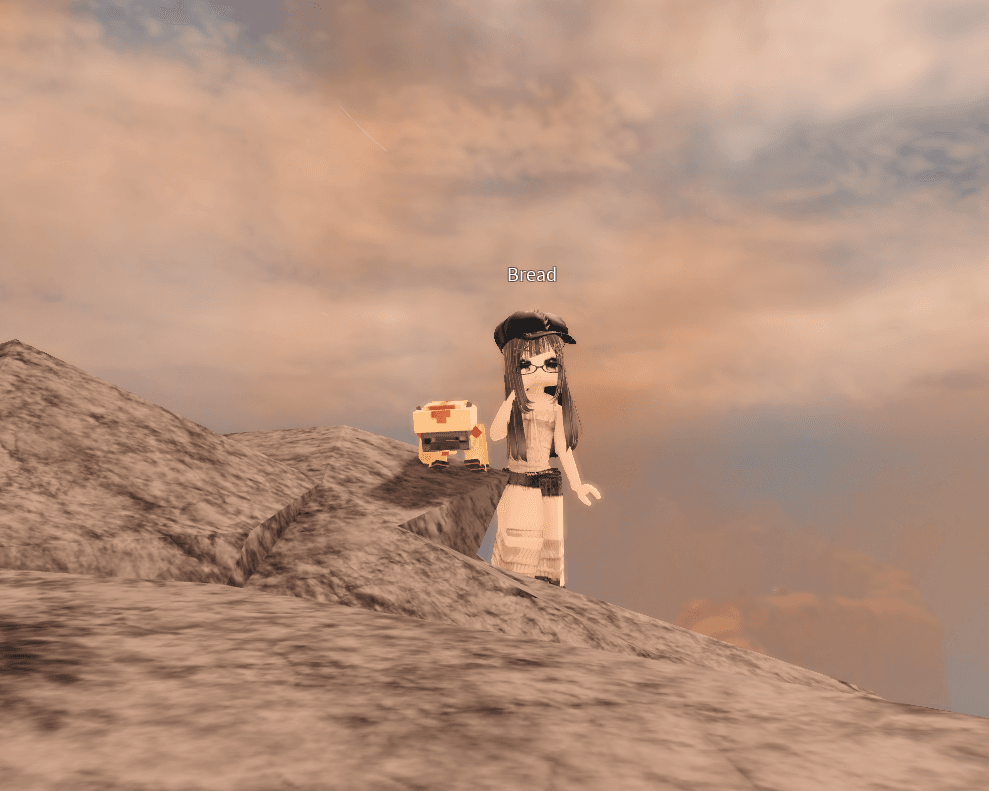 Playing some roblox with @Bread_kitty